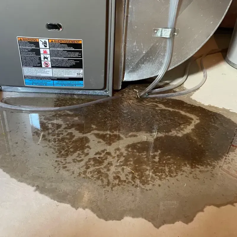 Appliance Leak Cleanup in Clermont, IN